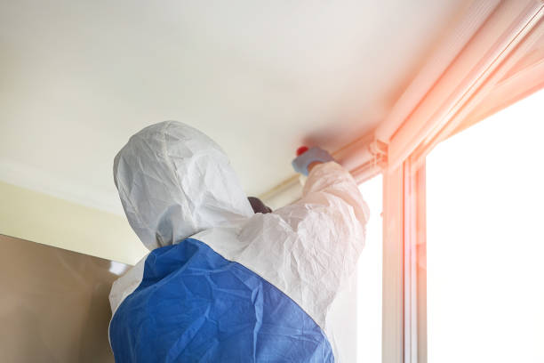 Trusted Jamesburg, NJ Mold Removal Services Experts